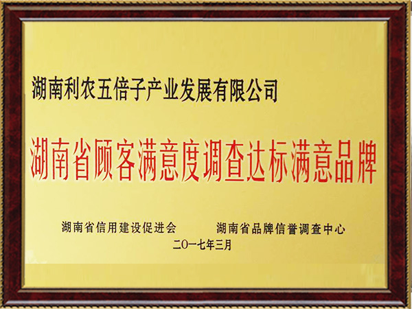 湖南省顧客滿意度滿意度調(diào)查達標滿意品牌