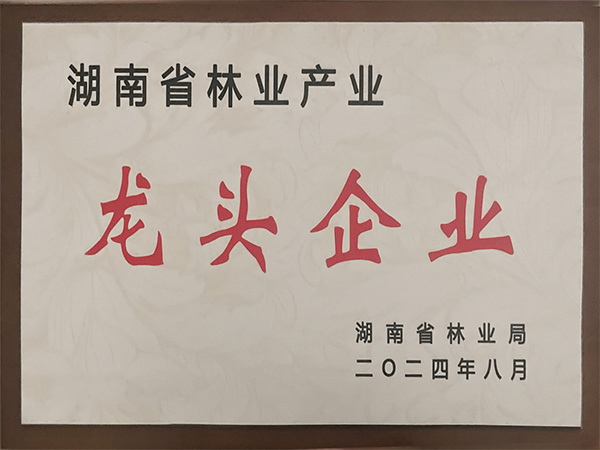 湖南省林業產業龍頭企業