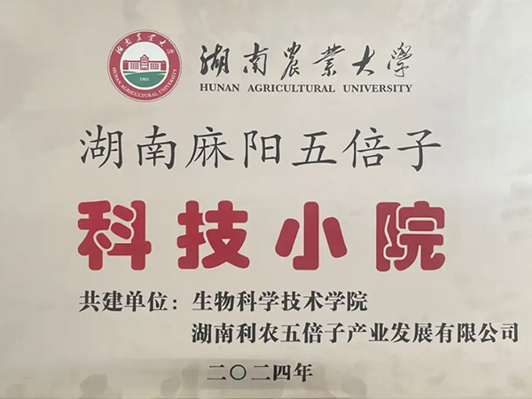 湖南麻陽五倍子科技小院