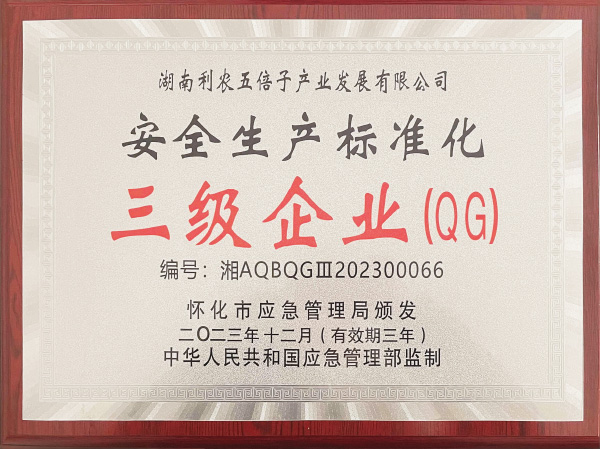 安全生產標準化證書2023年